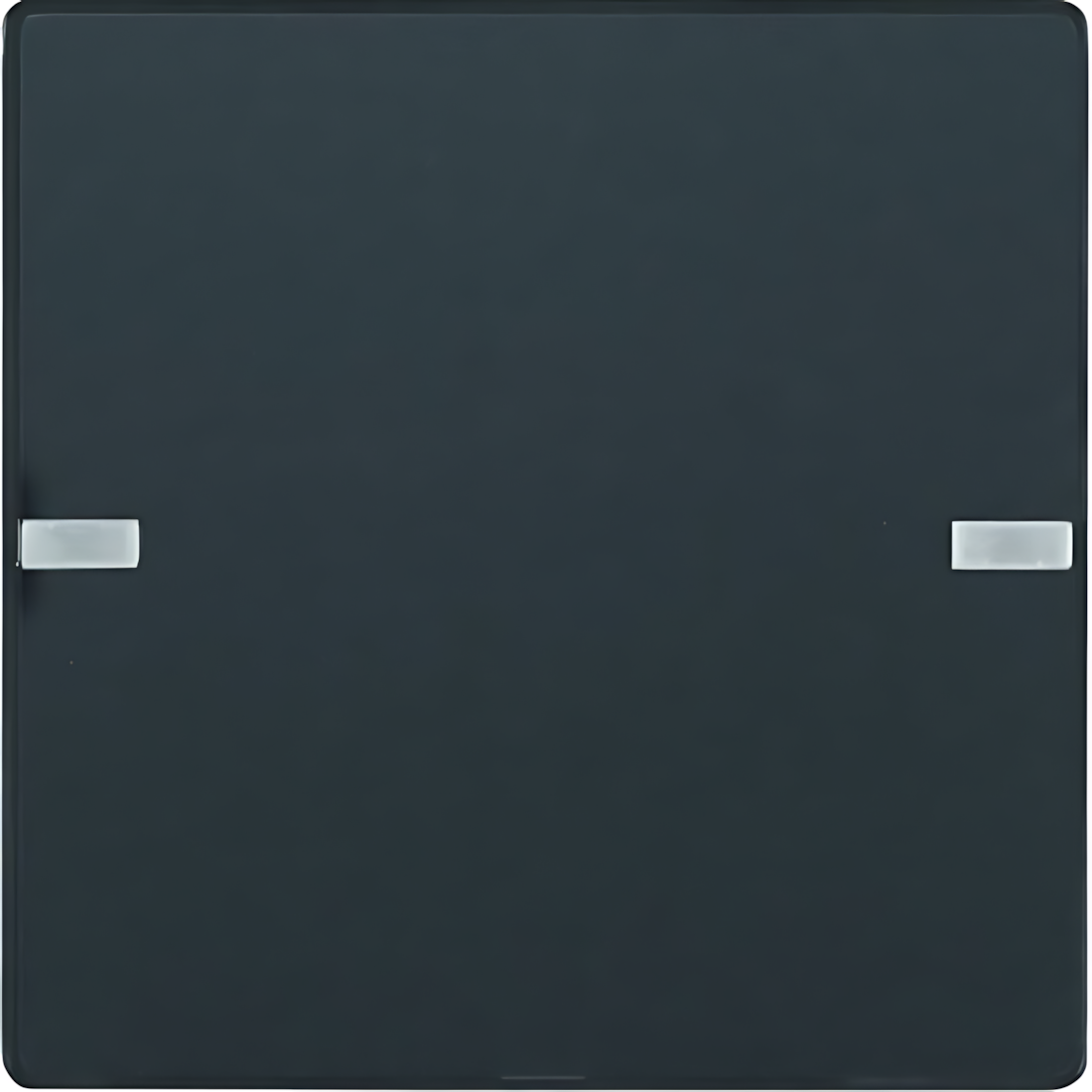 Berker Tastsensor 80141326