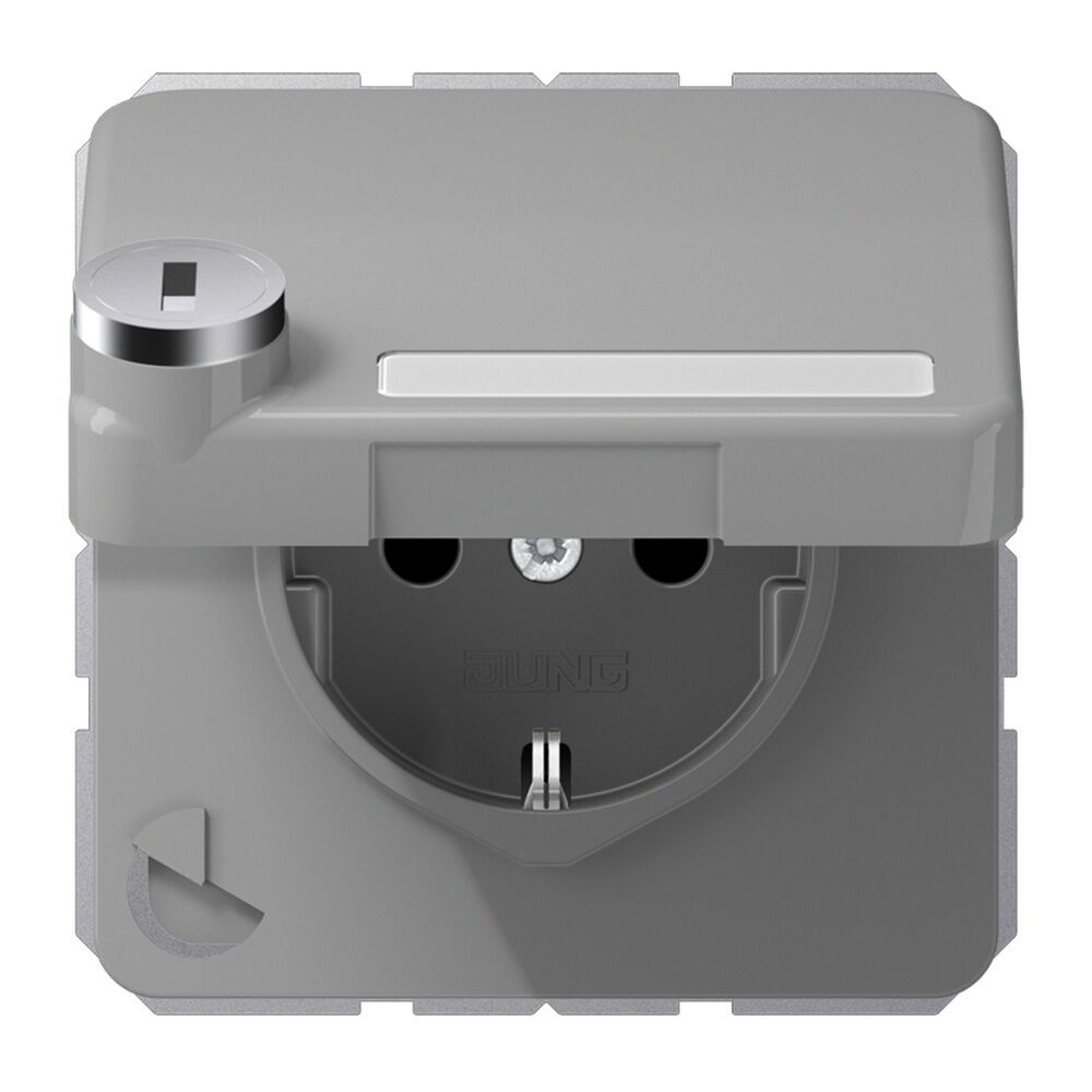 Jung Schutzkontakt Steckdose CD 1520 NAKLSL GR