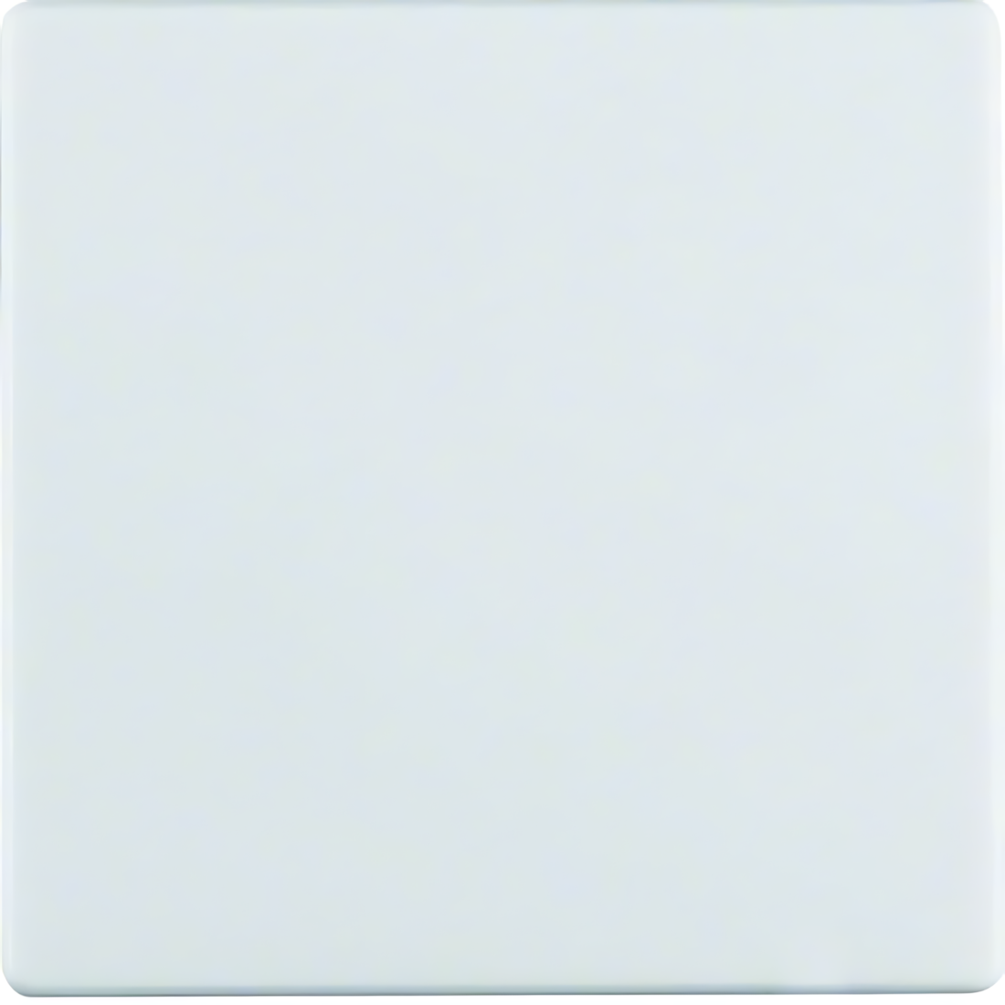 Berker Wippe 16206089