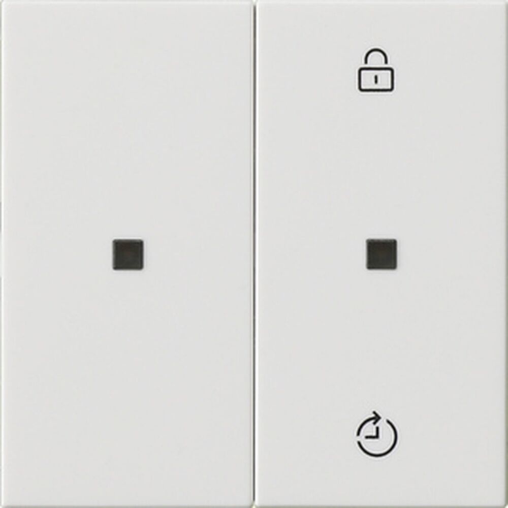 Gira Bedienaufsatz 549303