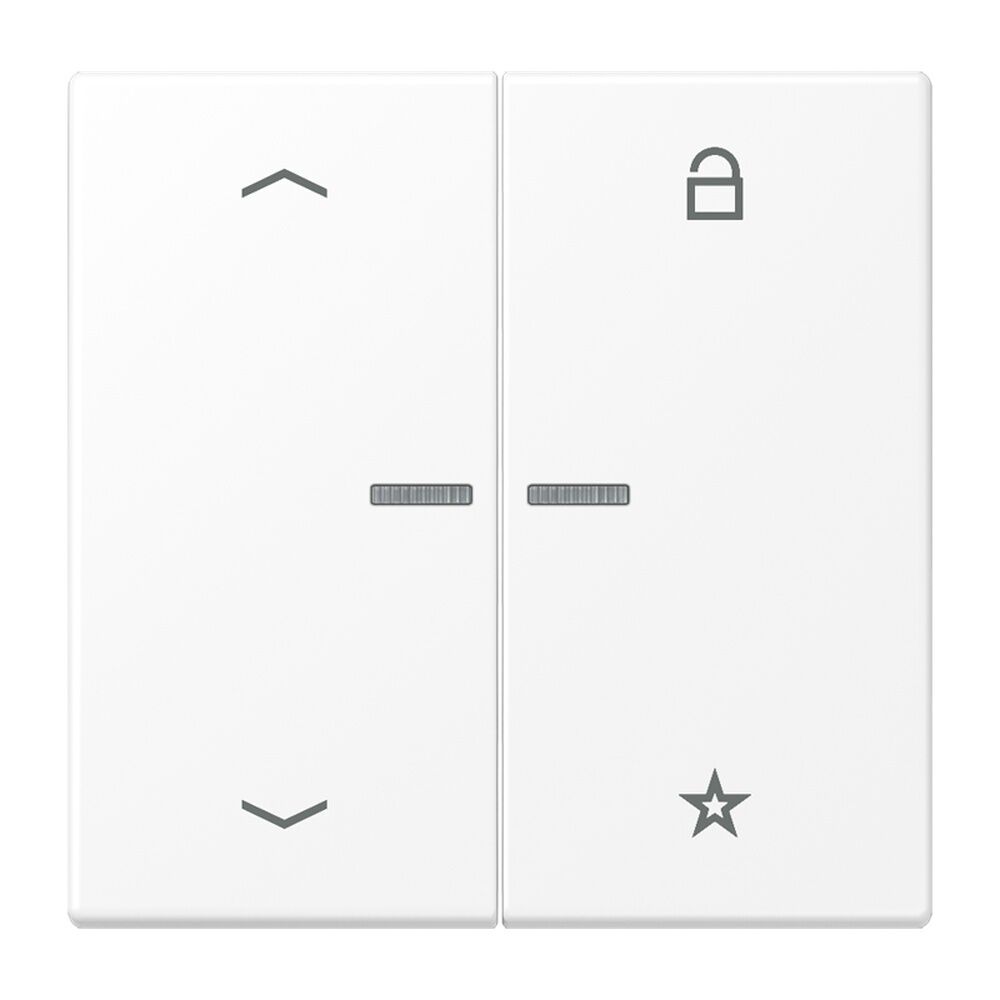 Jung eNet Funk Steuertaste  Pfeile  2fach FMLS1701PWWM