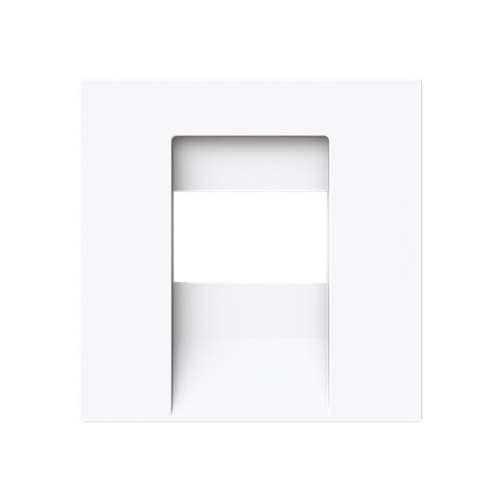 Busch-Jaeger Zentralscheibe 1766-44G Typ 2CKA001710A4162 