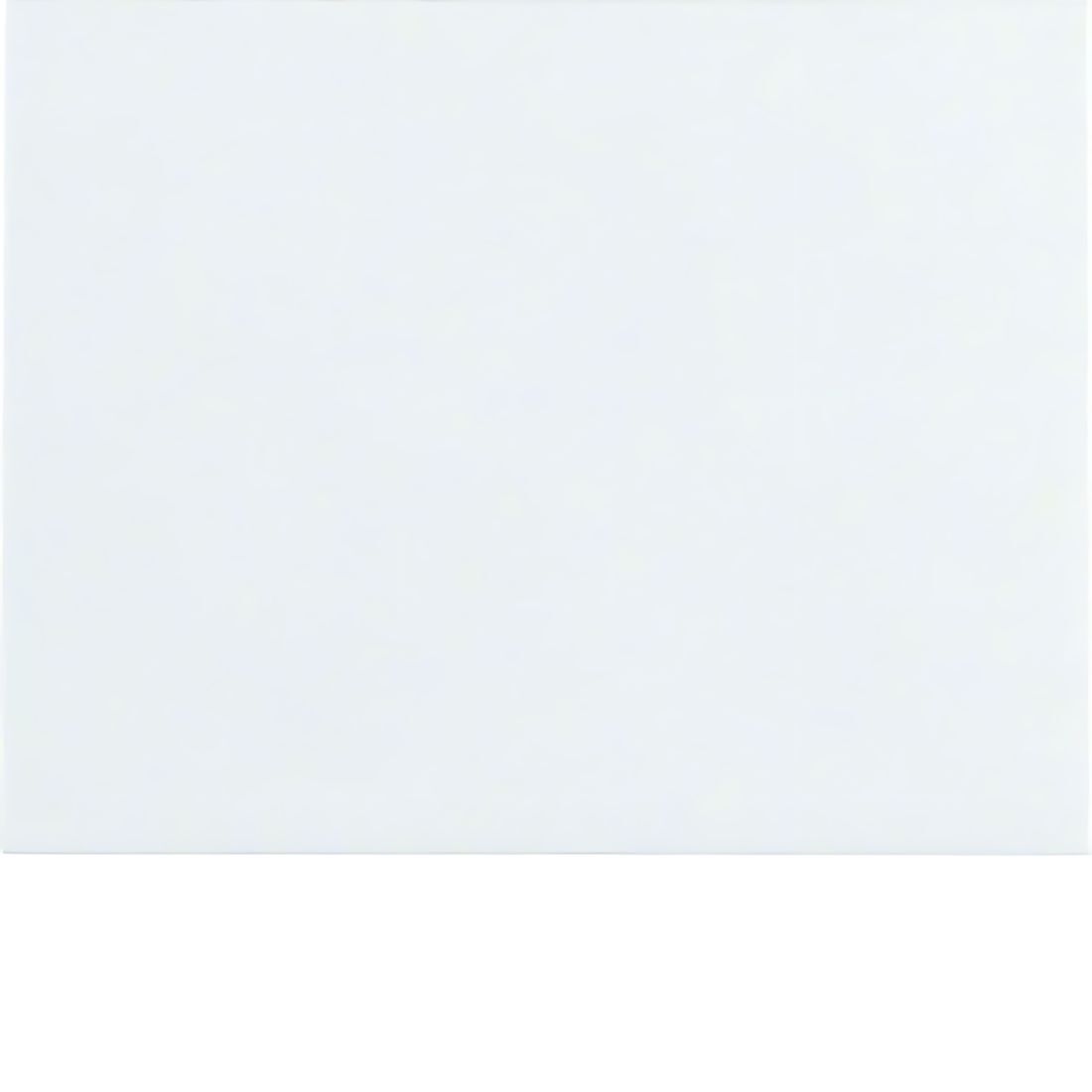 Berker Wippe 14057009 