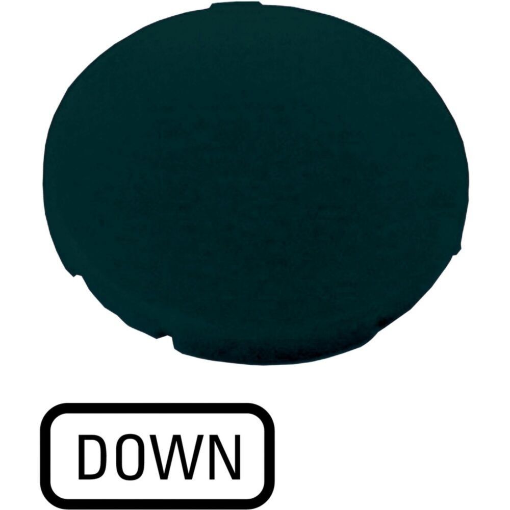 Eaton Tastenplatte 218200 Typ M22-XD-S-GB4