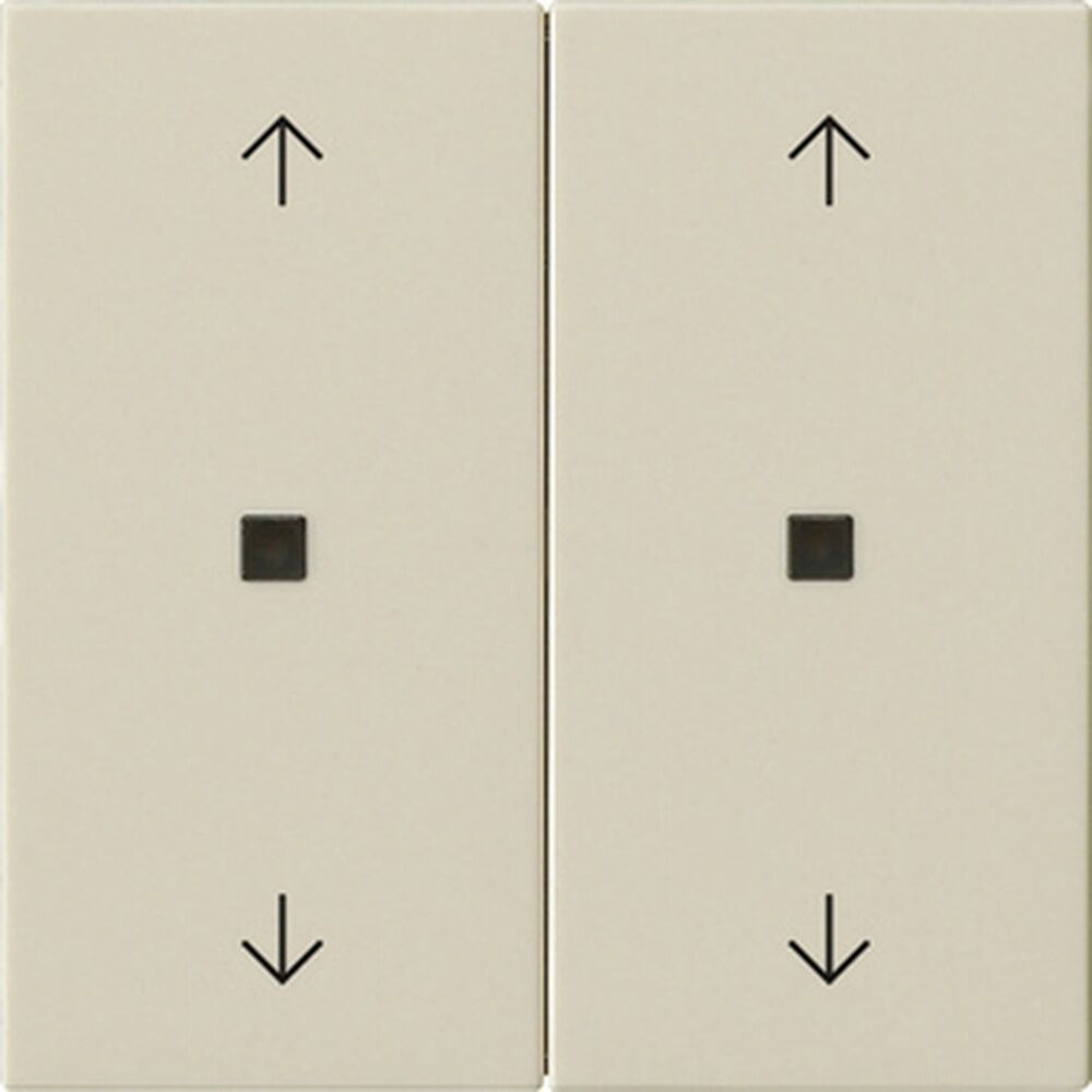 Gira Wippe 2fach 538601