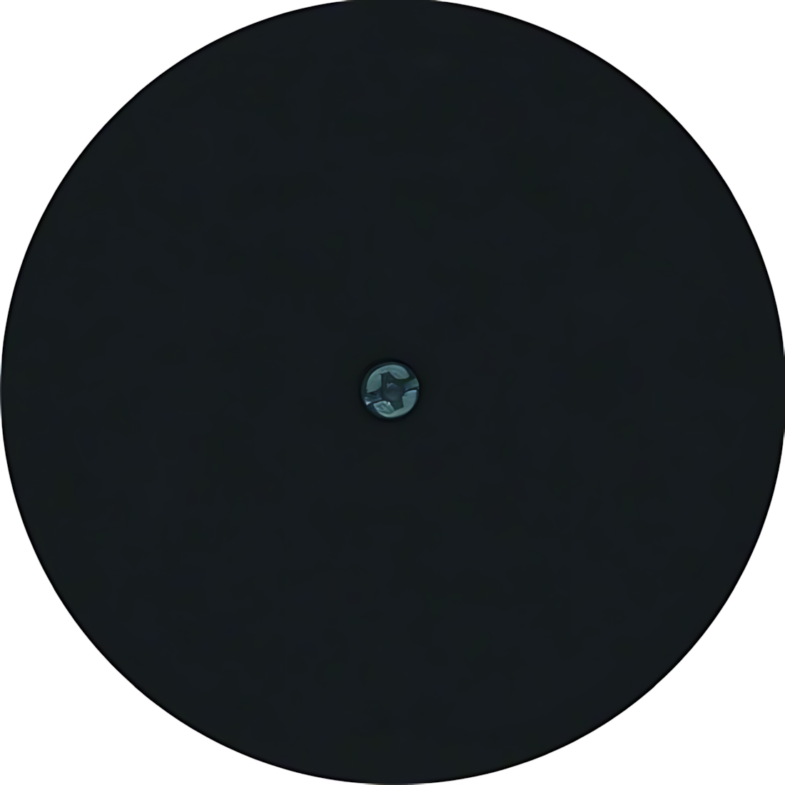 Berker Zentralstück 10192045 