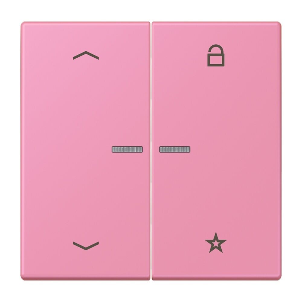 Jung Taster FMLC1701P246