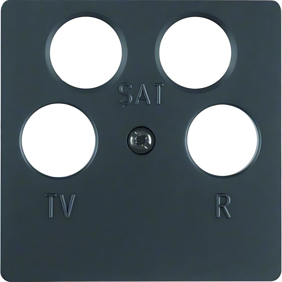 Berker Zentralplatte 14841606 