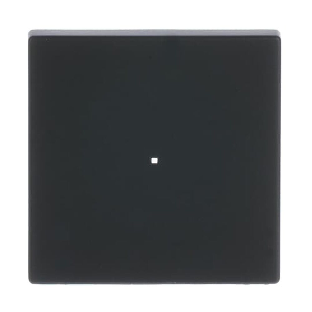 Busch-Jaeger Wippe 6230-10-885 Nr. 2CKA006220A0498