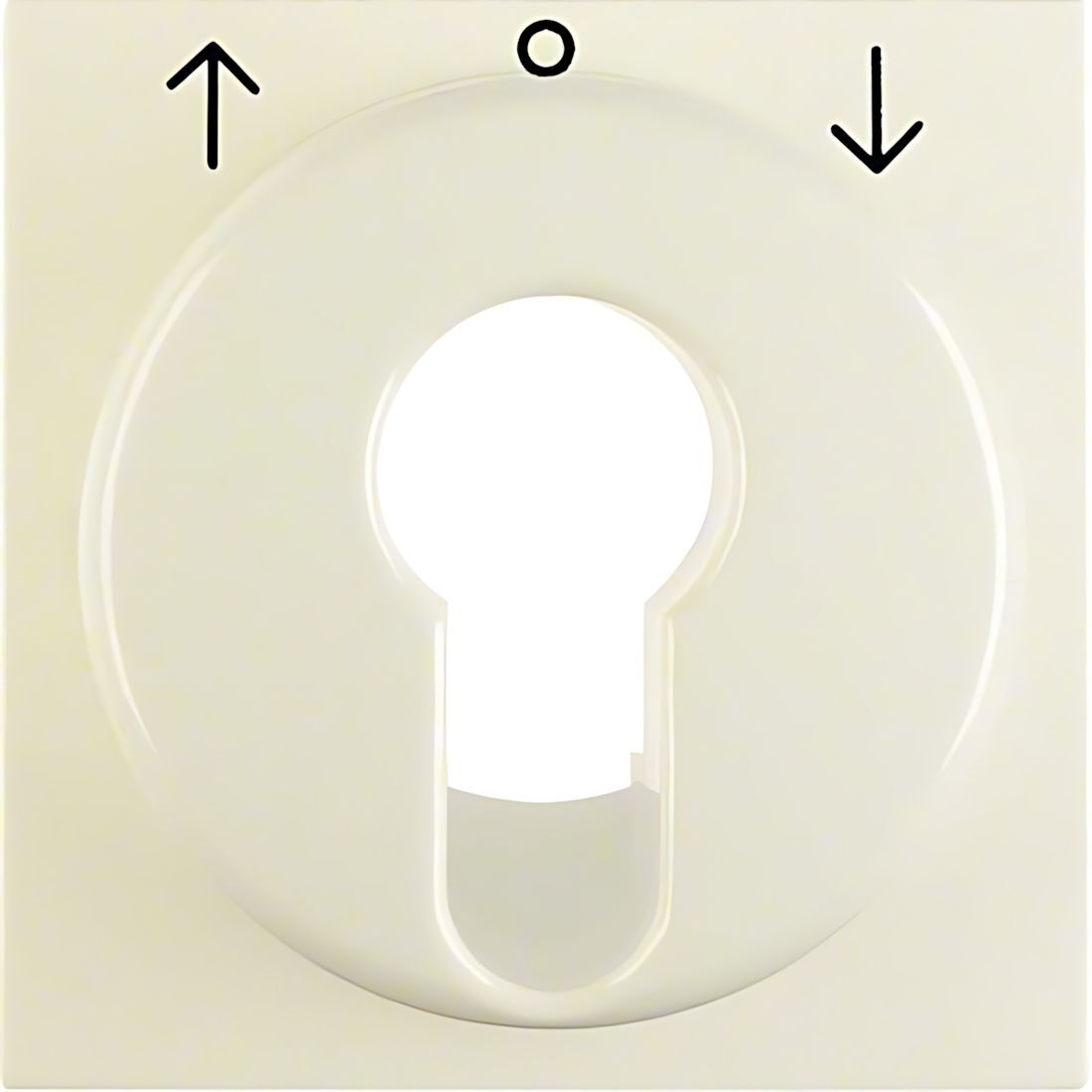 Berker Zentralstück 15068982