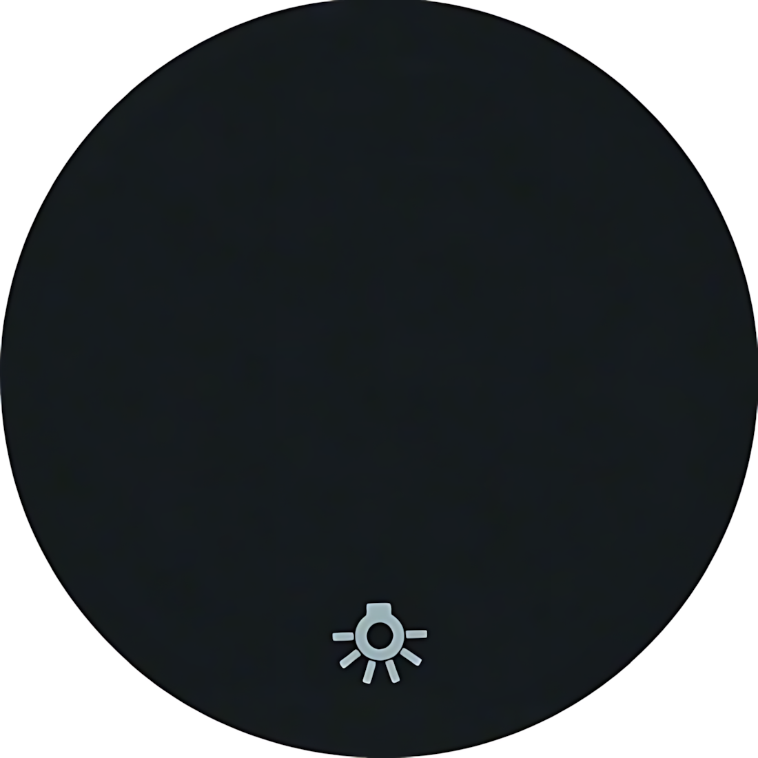 Berker Wippe 16202035