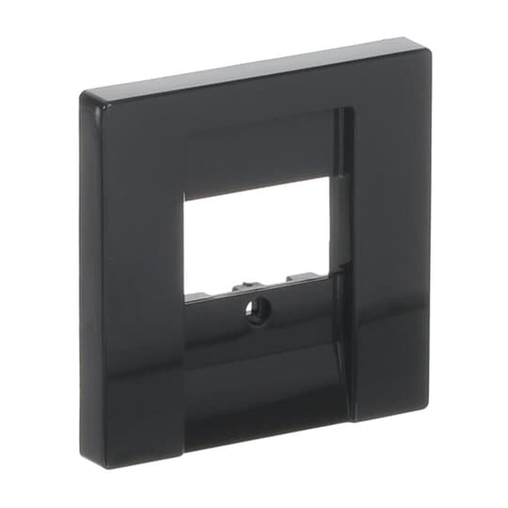 Busch-Jaeger Zentralscheibe 1766-81 Nr. 2CKA001710A3613