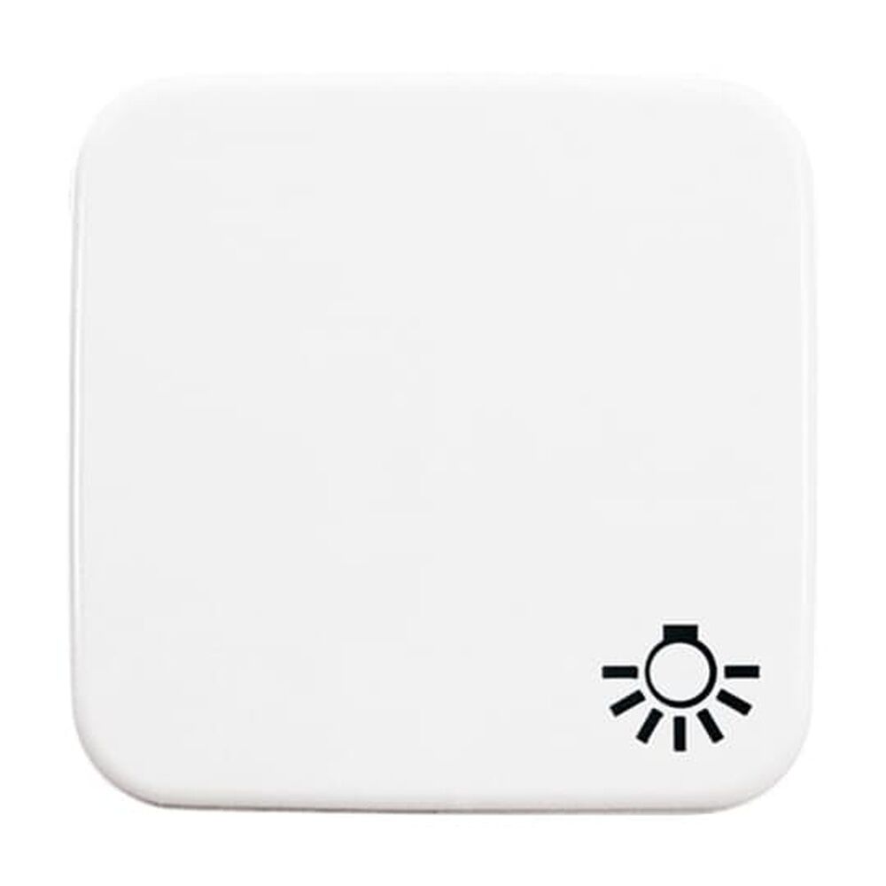 Busch-Jaeger Wippe 2520 LI-214 Nr. 2CKA001731A0934