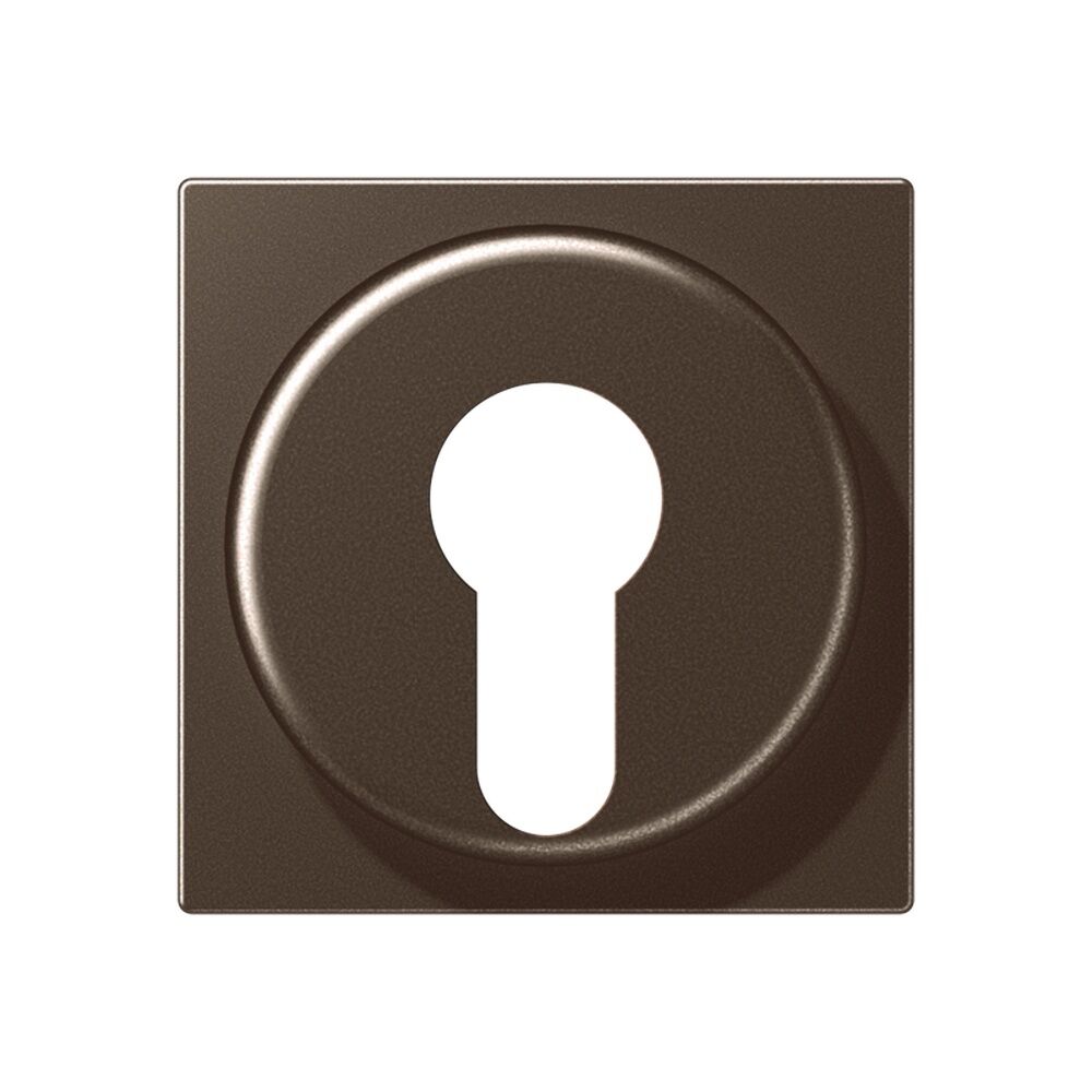 Jung Abdeckung Schlüsselschalter A 528 PL MO