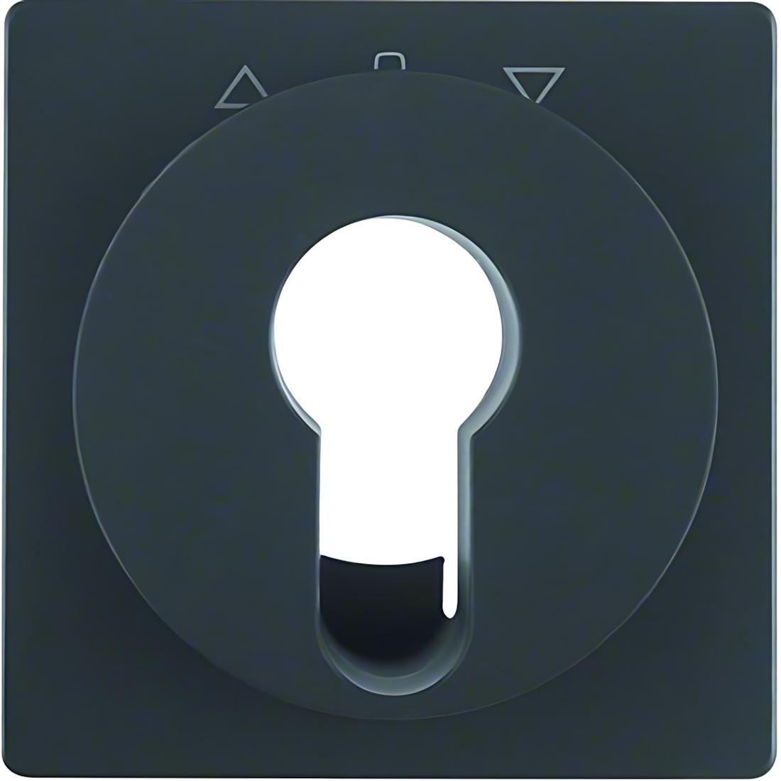 Berker Zentralstück 15066086 