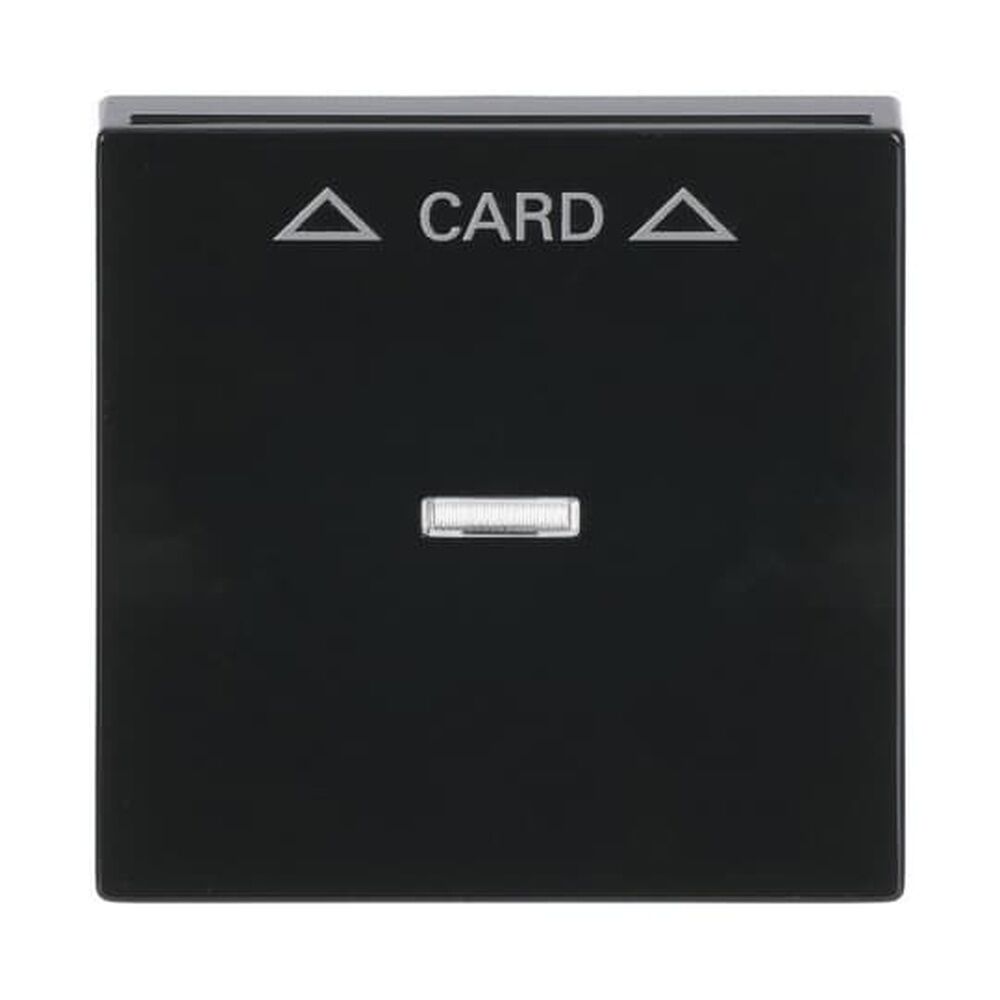 Busch-Jaeger Zentralscheibe 1792-81 Nr. 2CKA001710A3639