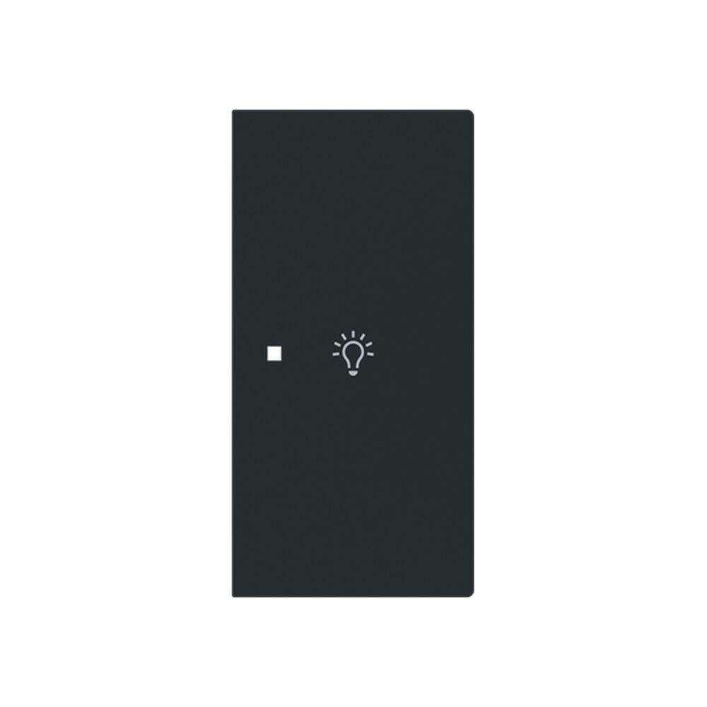 Busch-Jaeger Wippe 6231-22-45M Typ 2CKA006220A0955