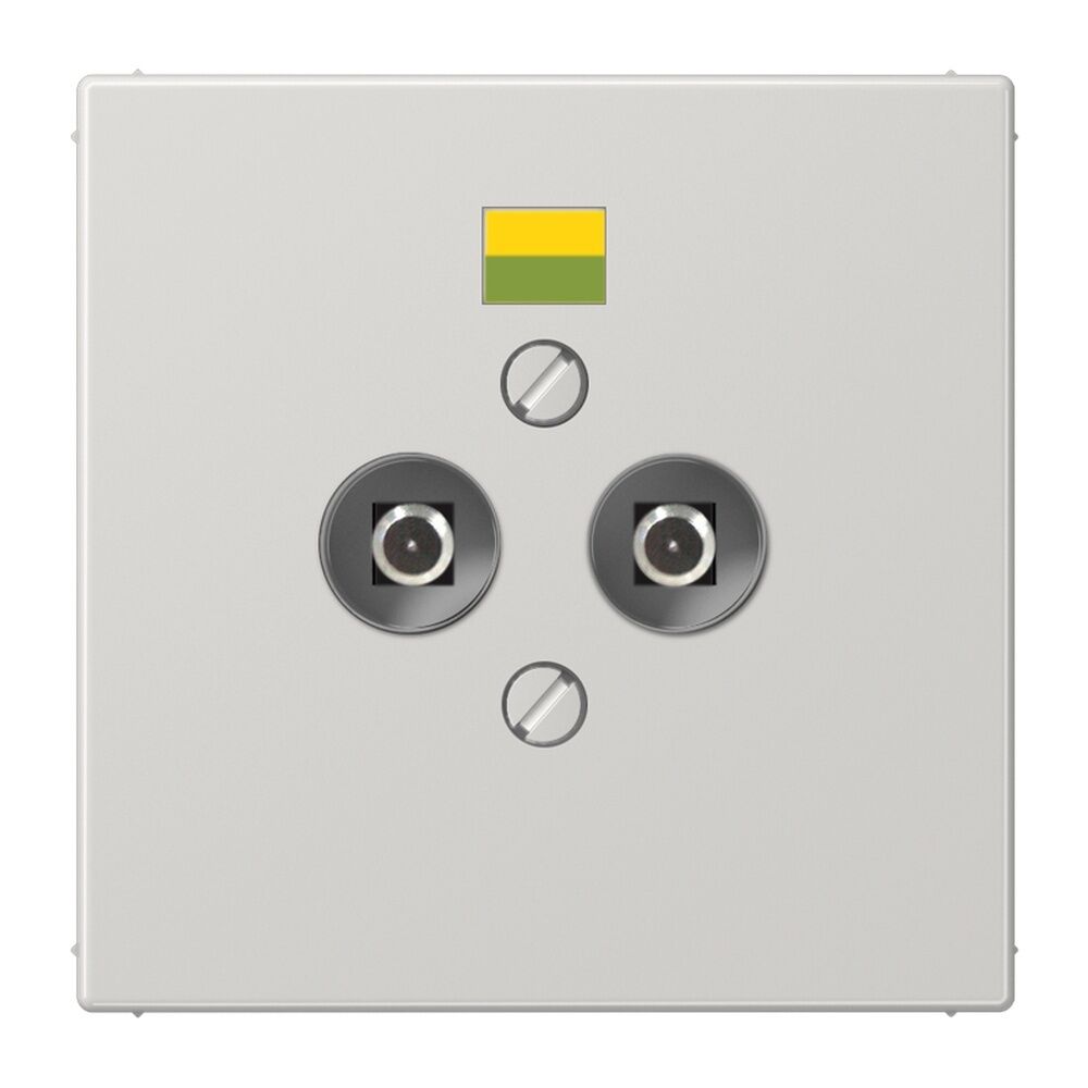 Jung Potentialausgleich Steckdose LS 965-2 LG