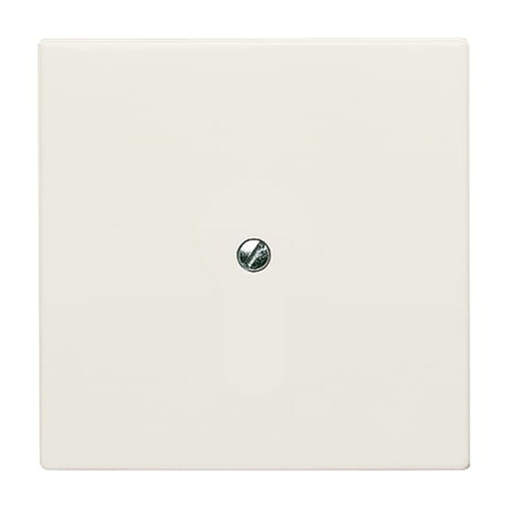 Busch-Jaeger Blindzentralscheibe 2138-32 Nr. 2CKA001710A2264