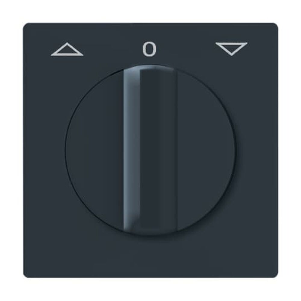 Busch-Jaeger Zentralscheibe 2142 DR-35 Nr. 2CKA001710A1886