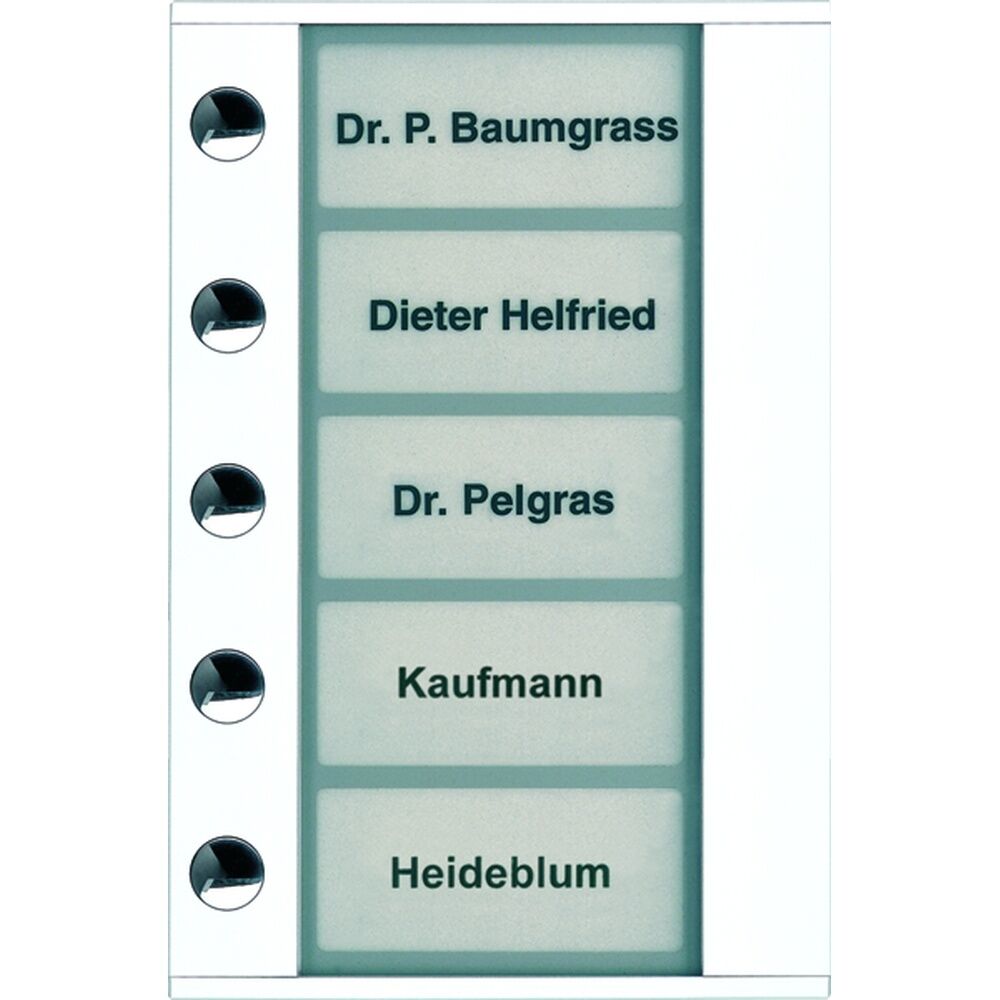 TCS Türstation Audio PDT05-WS/04