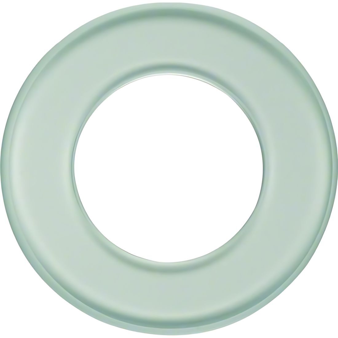 Berker Glasrahmen 1091 