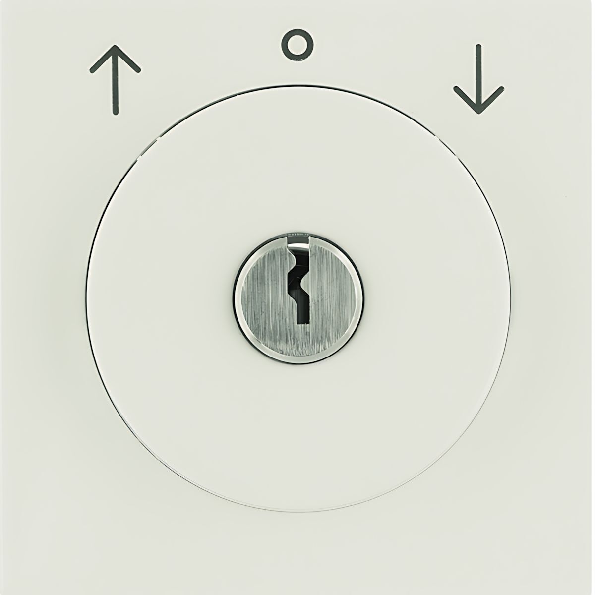 Berker Zentralstück m. Schloss 1081898200