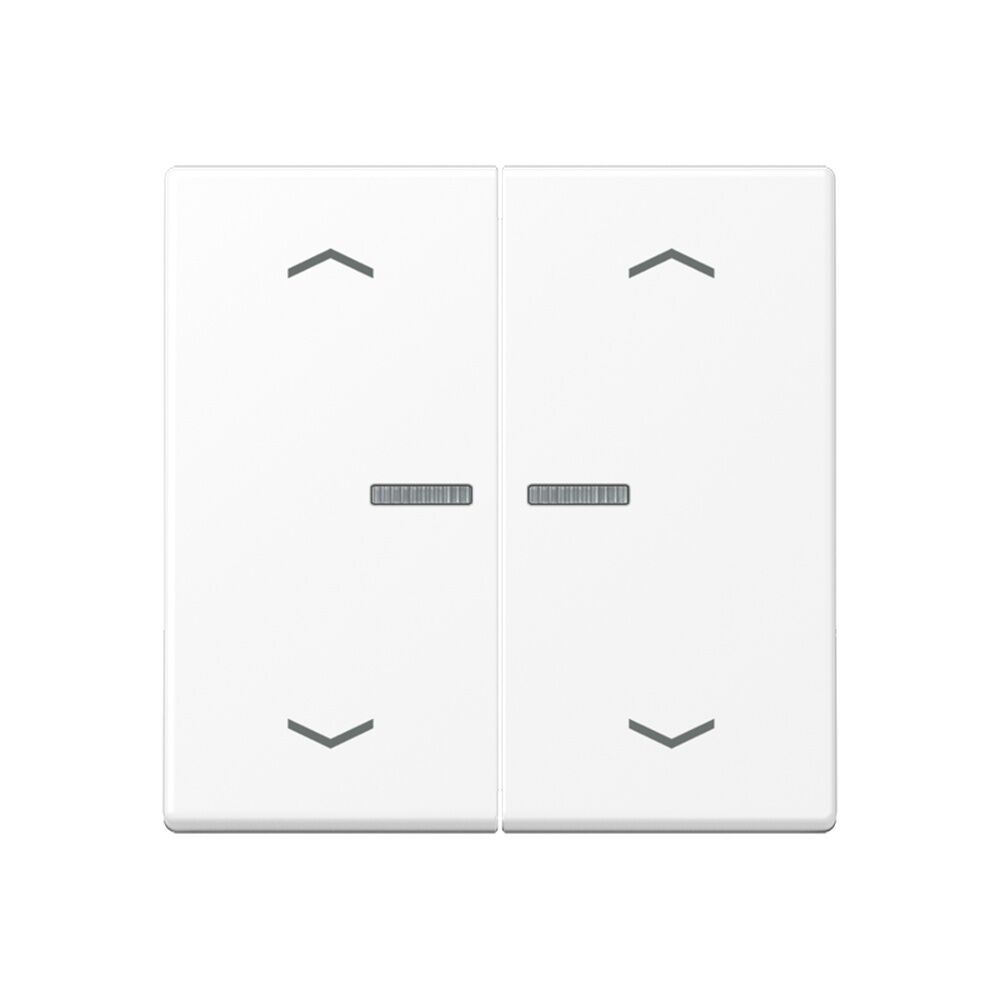 Jung JUNG HOME Taster BTA17102PWWM