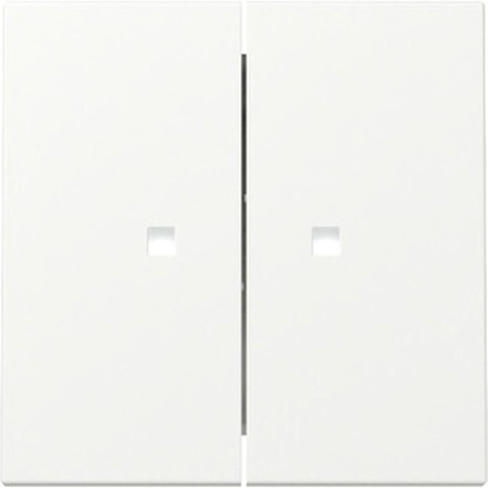 Gira Wippe 2fach 363127