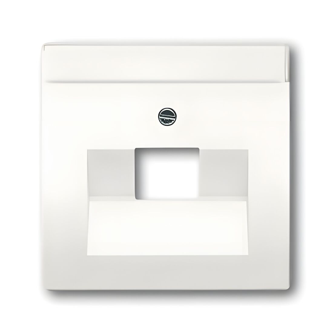 Busch-Jaeger Zentralscheibe 1803-884 Nr. 2CKA001710A3889