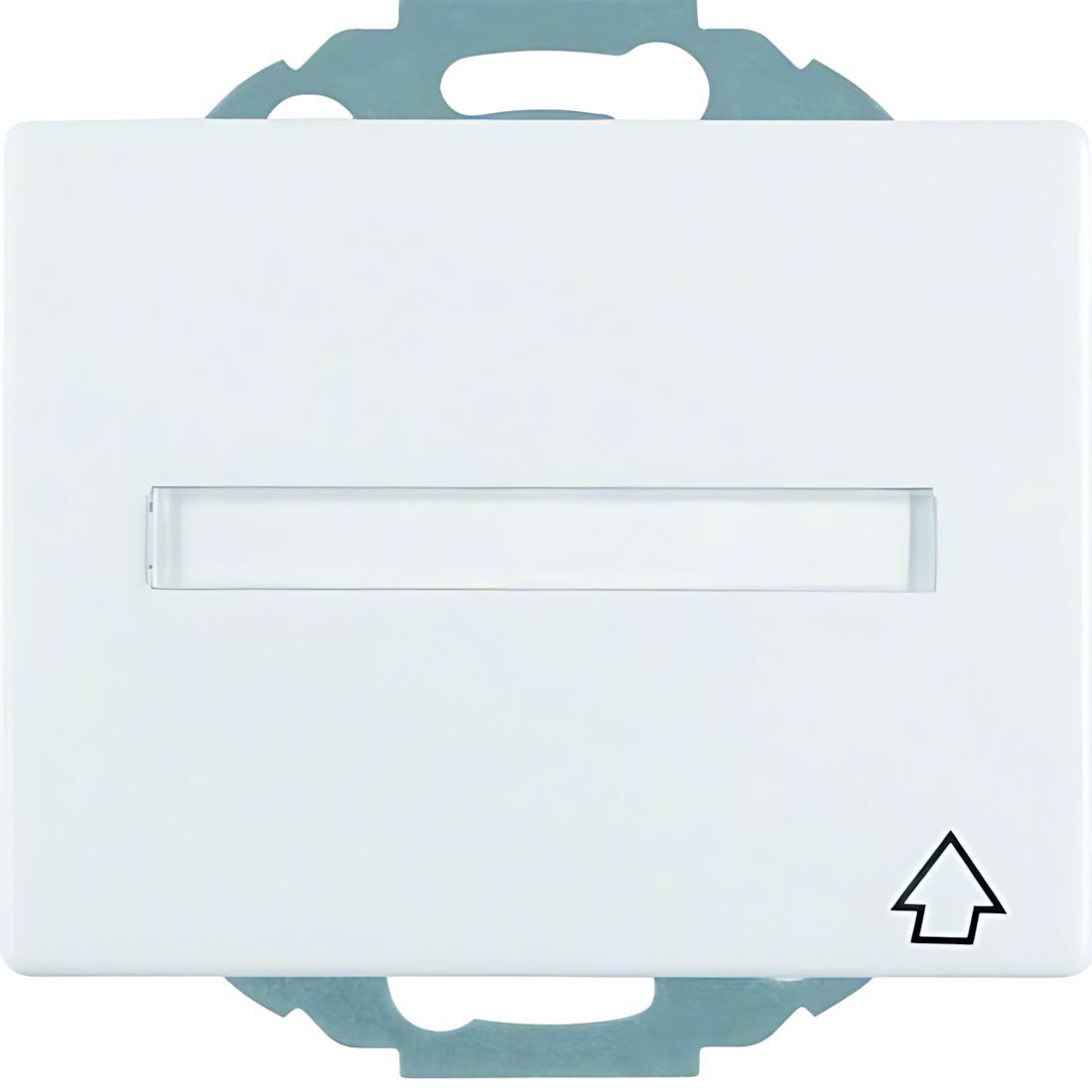 Berker Steckdose 47487109