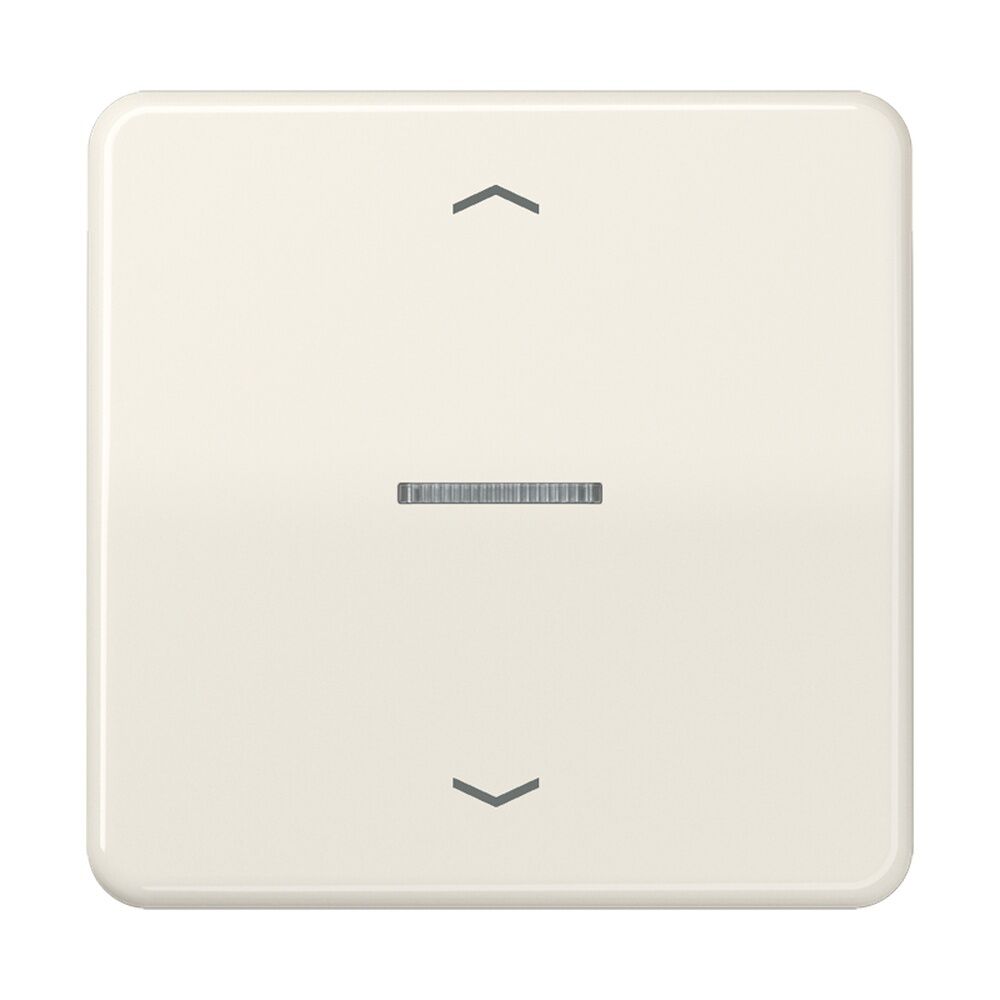 Jung Wippe m. Lichtleiter CD101KO5P