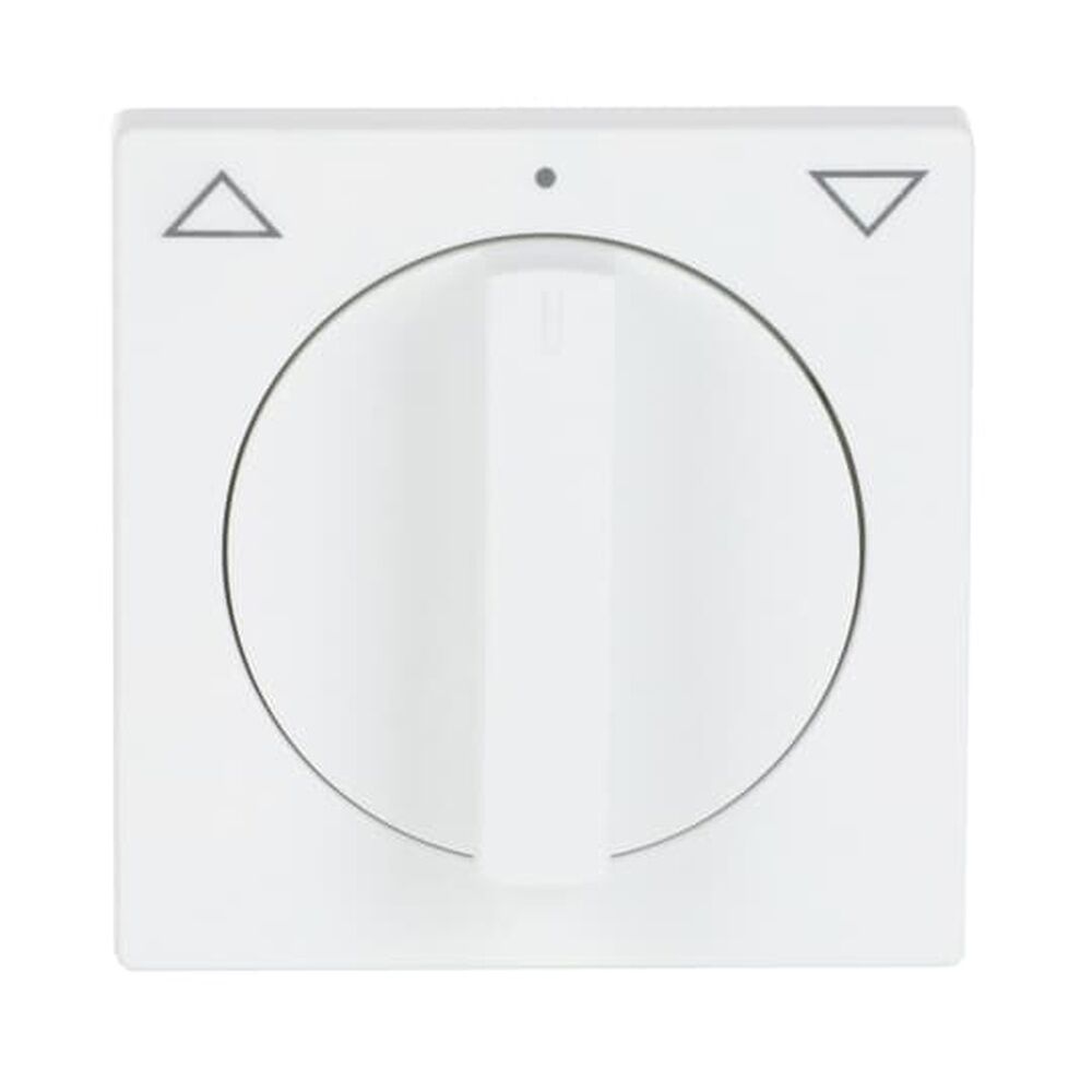 Busch-Jaeger Zentralscheibe 1740-884 Nr. 2CKA001710A3872