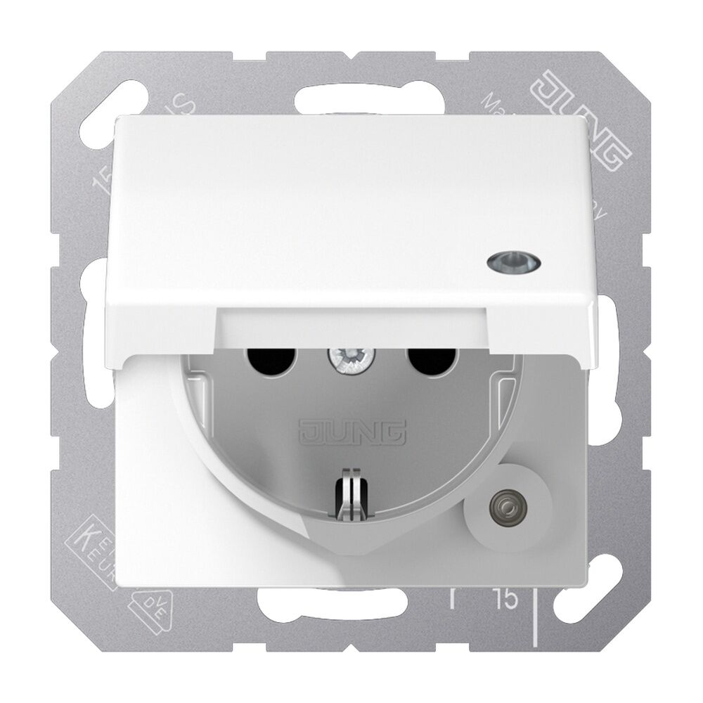 Jung SCHUKO Steckdose SPAS1520KLKOWW