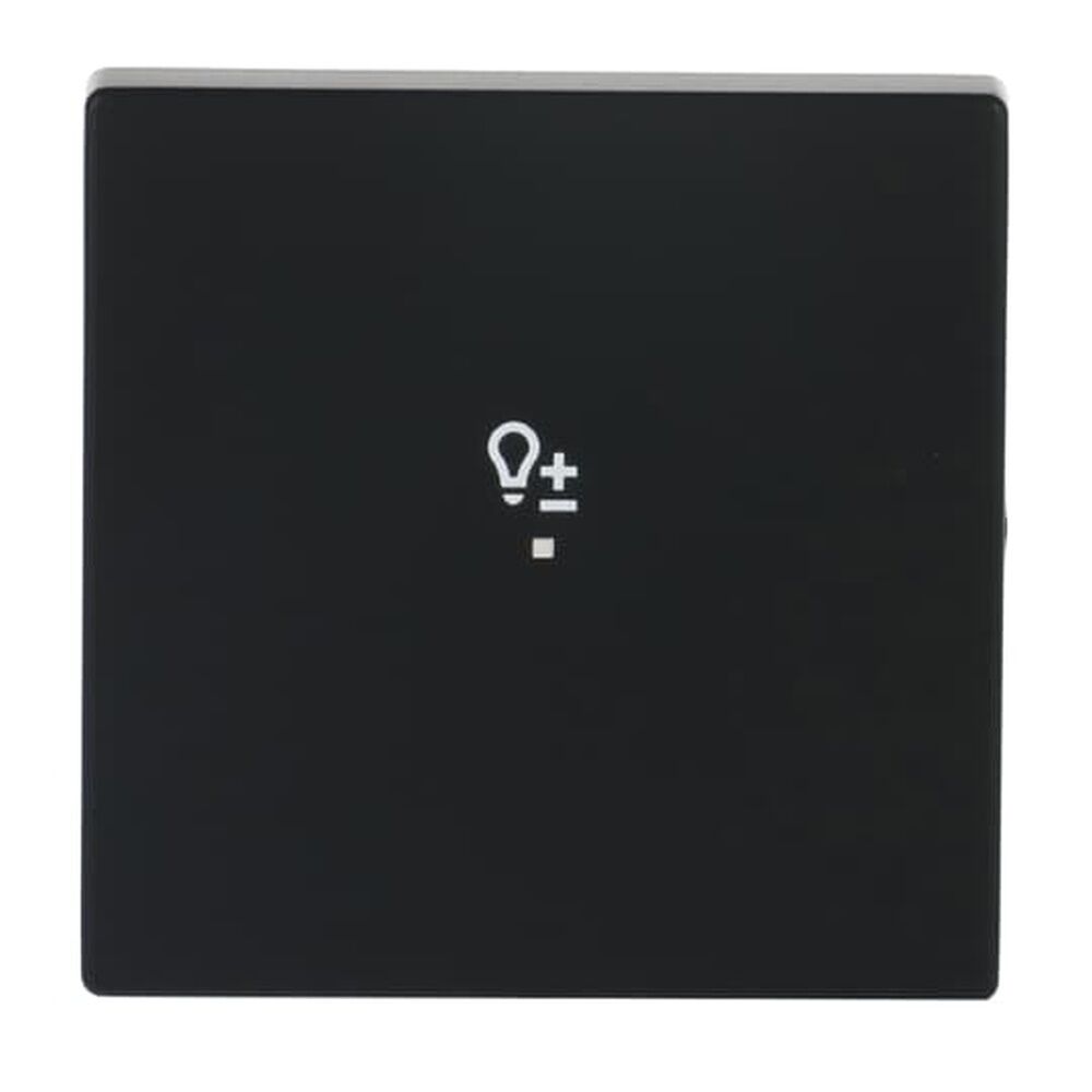 Busch-Jaeger Wippe 6234-10-885 Nr. 2CKA006220A0502