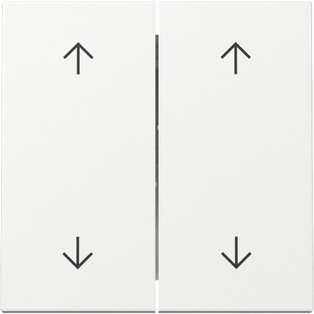 Gira Wippe 2fach 329703