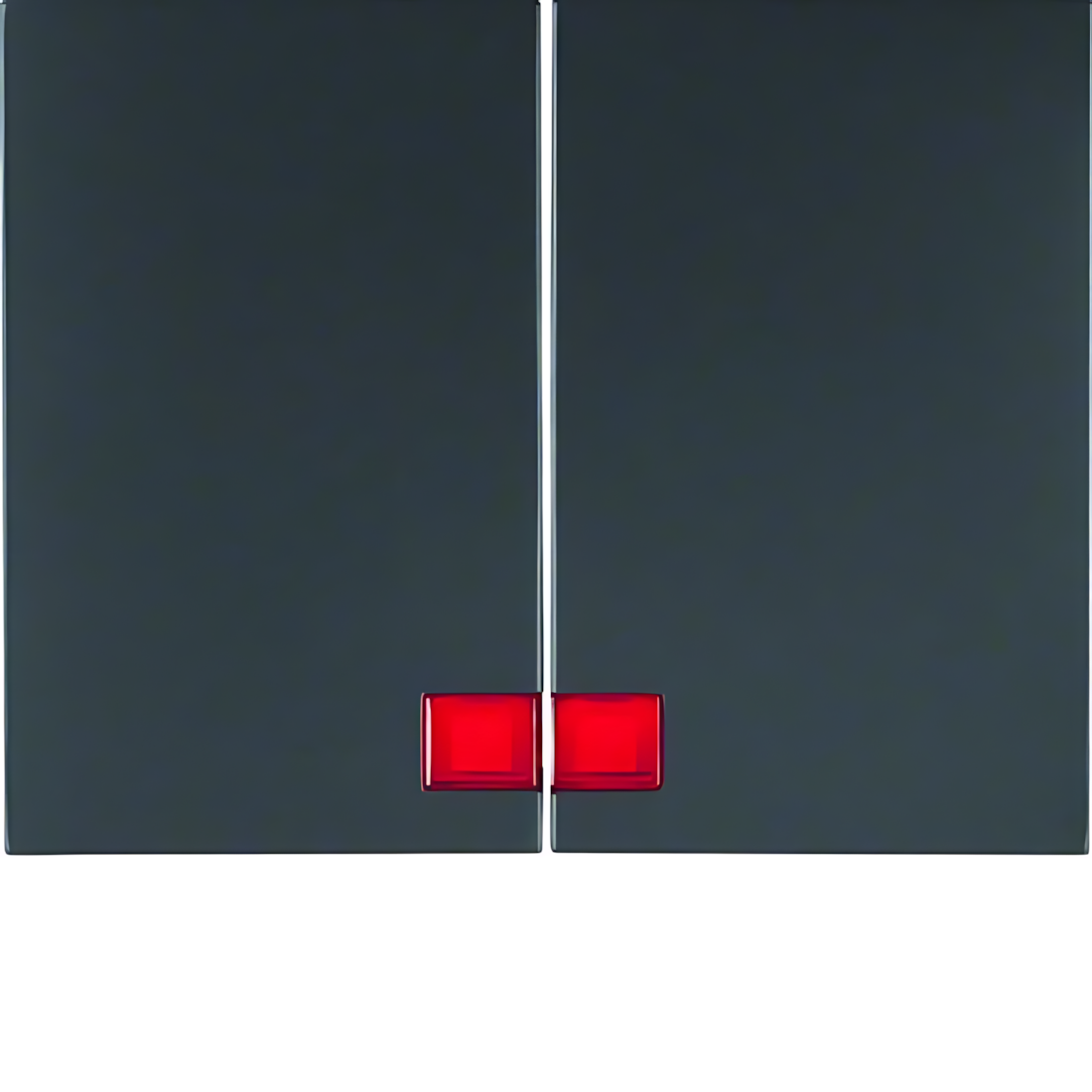 Berker Wippen 14377006