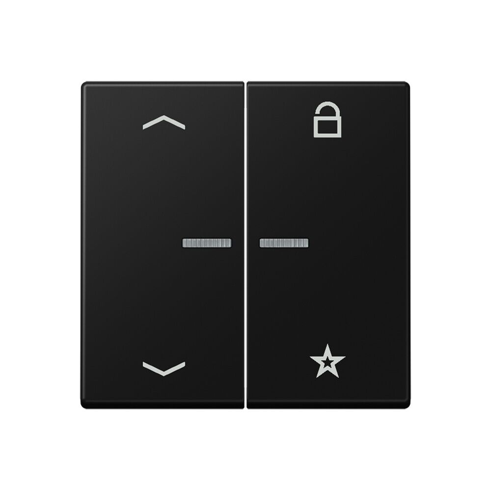 Jung eNet Funk Steuertaste  Pfeile  2fach FMA1701BFPSWM