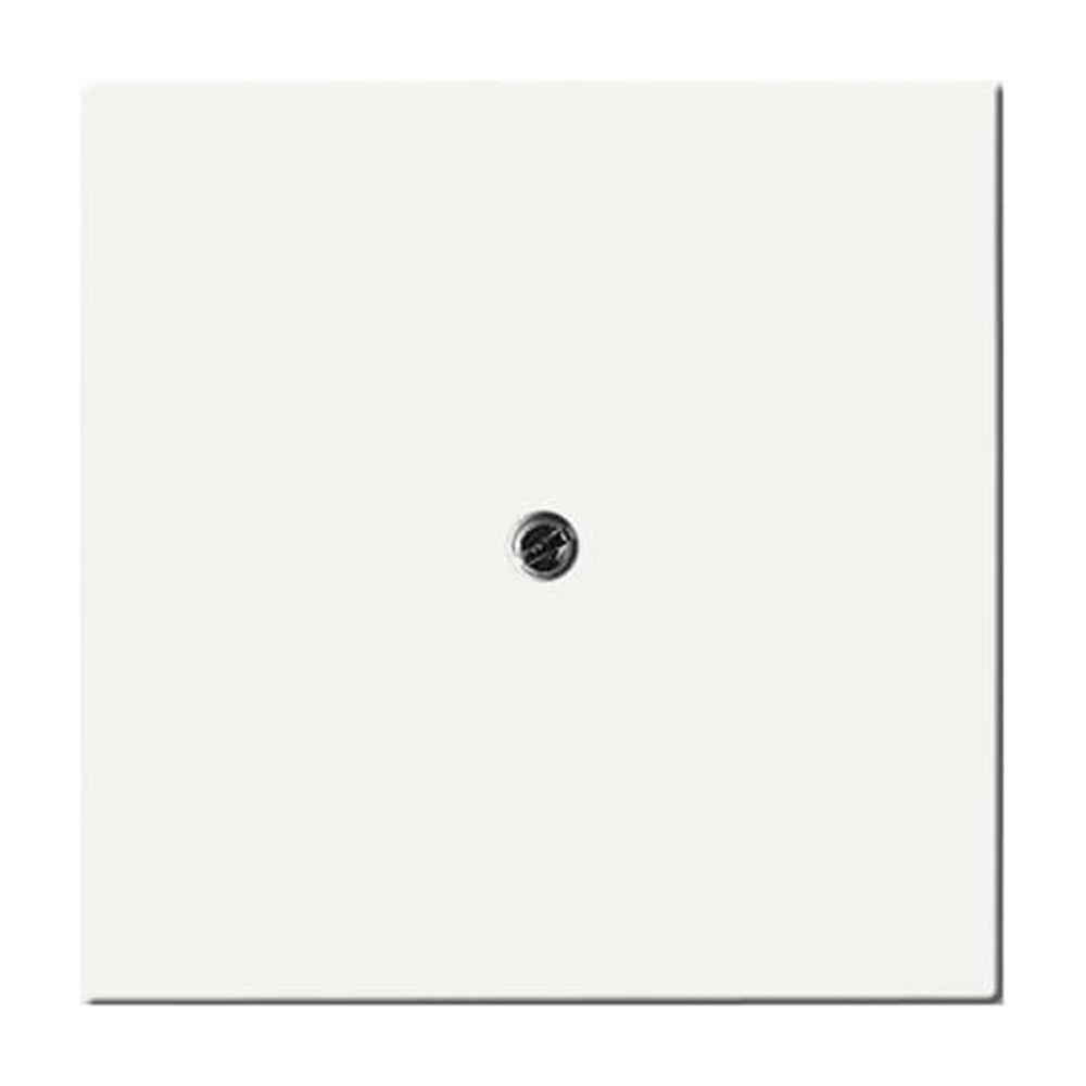 Busch-Jaeger Zentralscheibe 1745-884 Nr. 2CKA001710A3874 