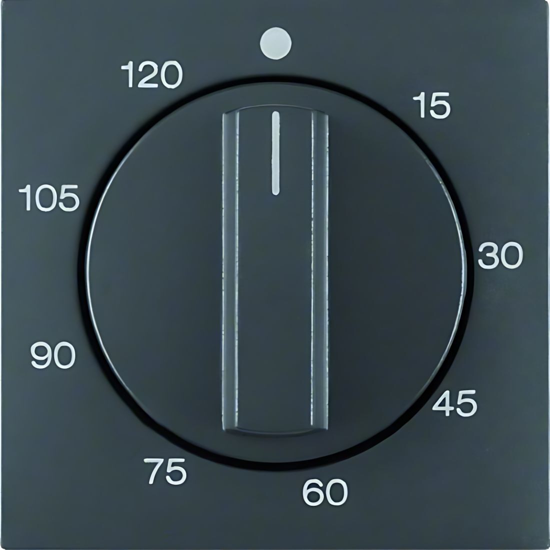 Berker Zentralstück 16331606