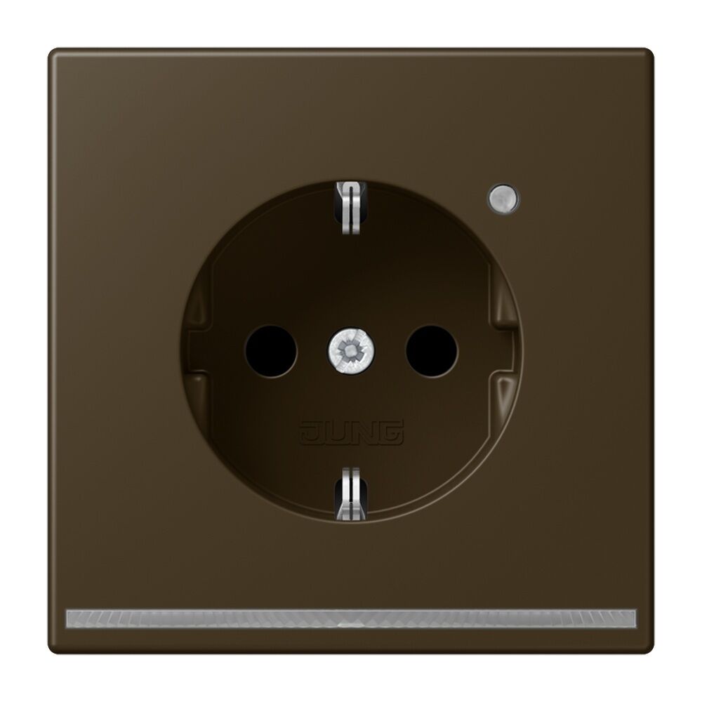 Jung SCHUKO Steckdose ME1520-OATLNW