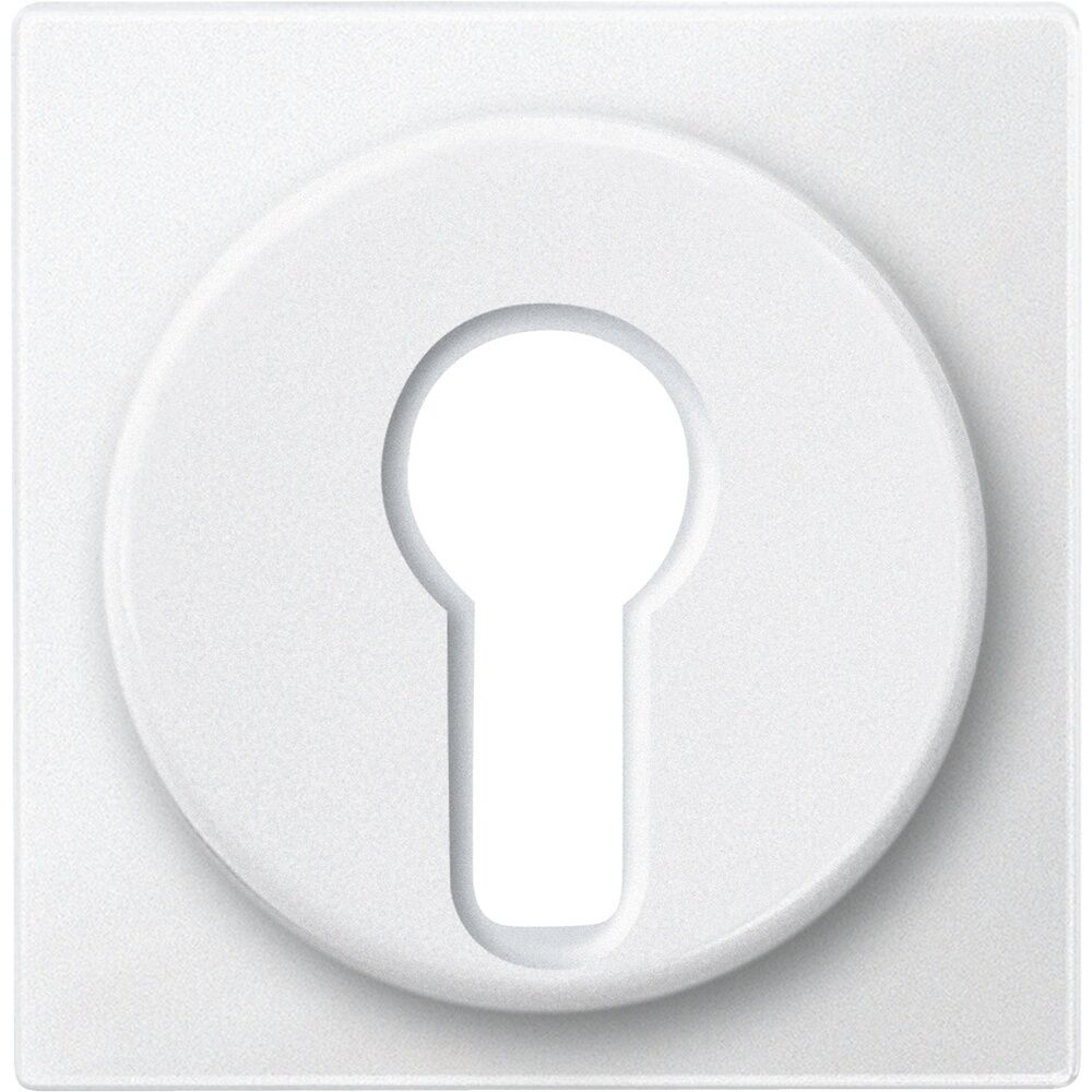 Merten Zentralplatte 318119