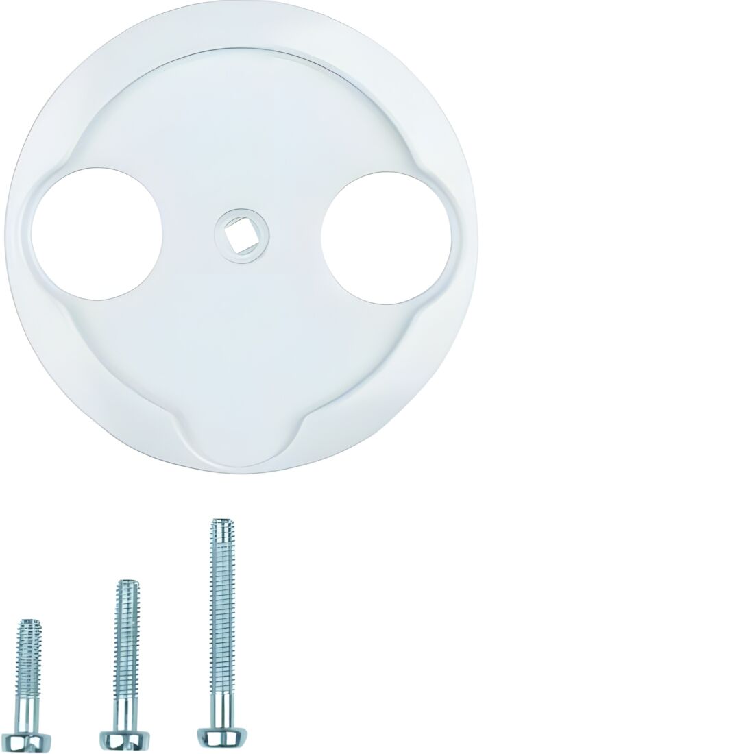 Berker Zentralstück 103920