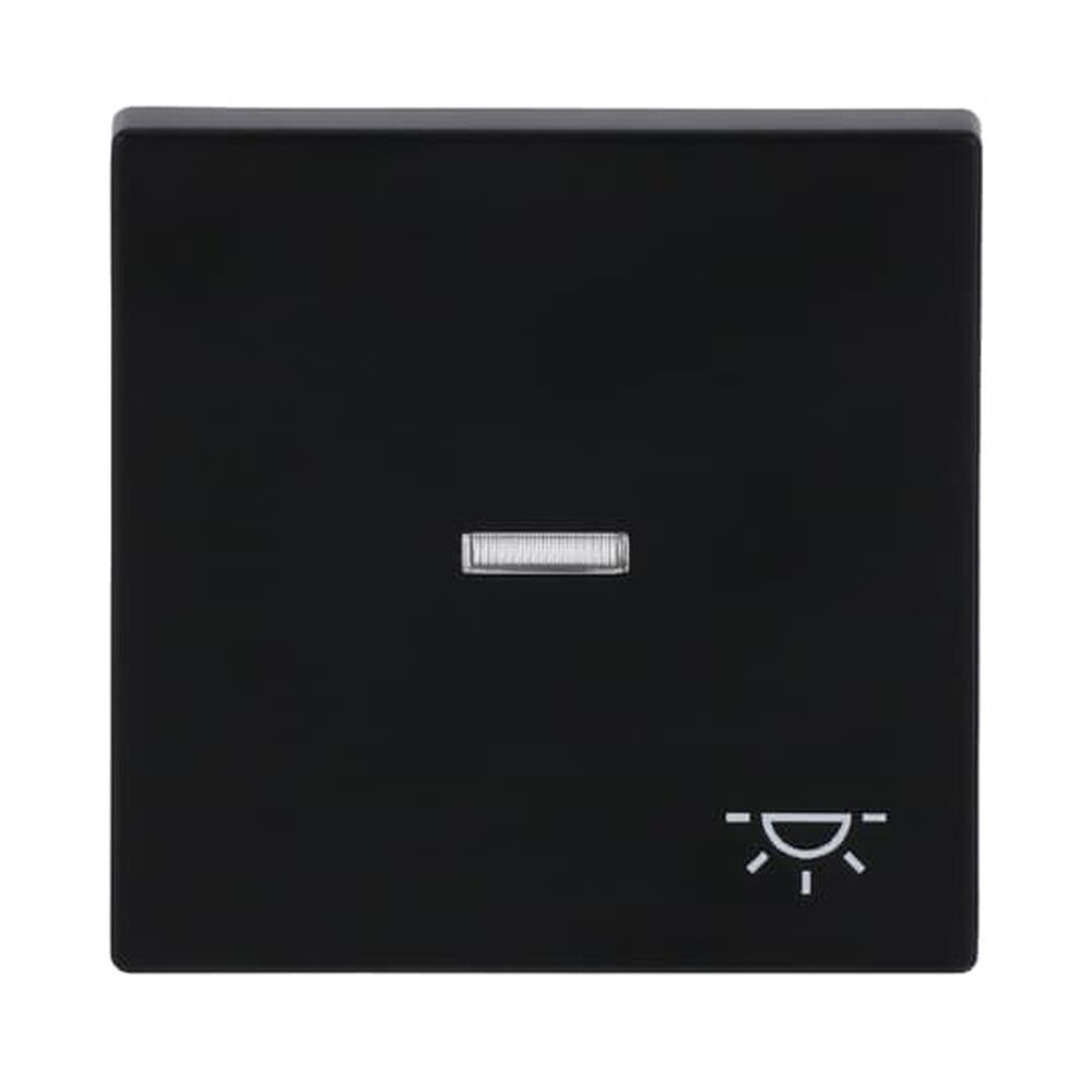 Busch-Jaeger Wippe 1789 LI-885 Nr. 2CKA001751A3045