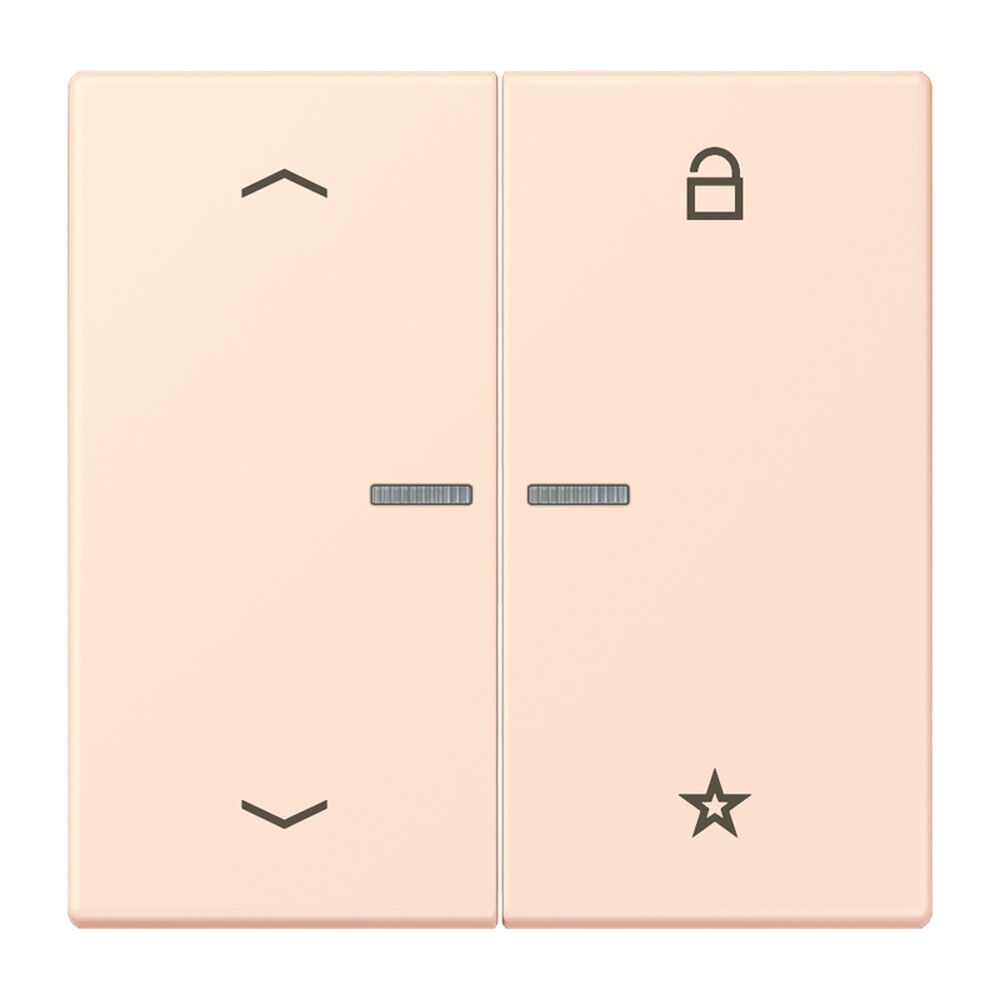 Jung Taster FMLC1701P226