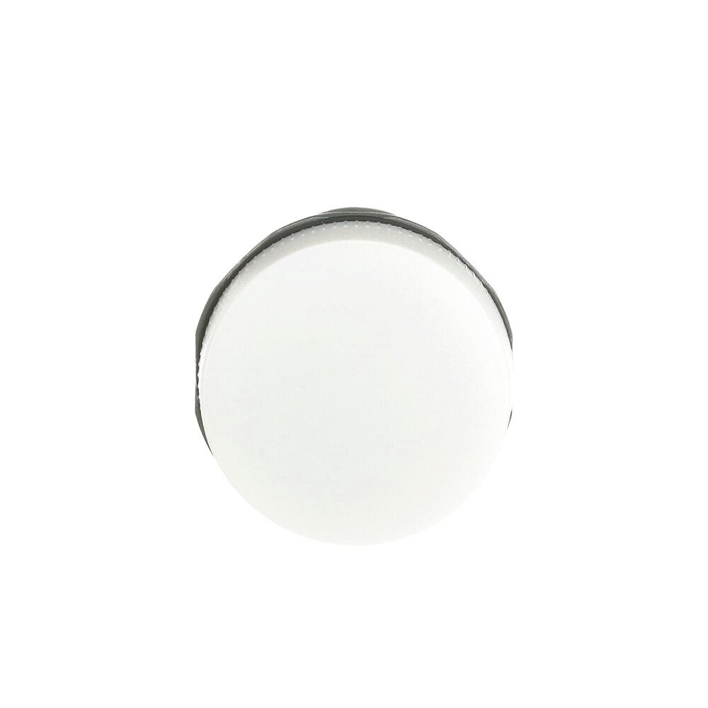 ABB Leuchtmelder 1SFA619402R1005 Typ CL-100W