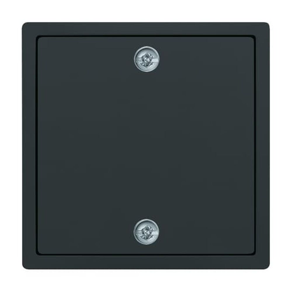 Busch-Jaeger Zentralscheibe 1796-81 Nr. 2CKA001753A0308