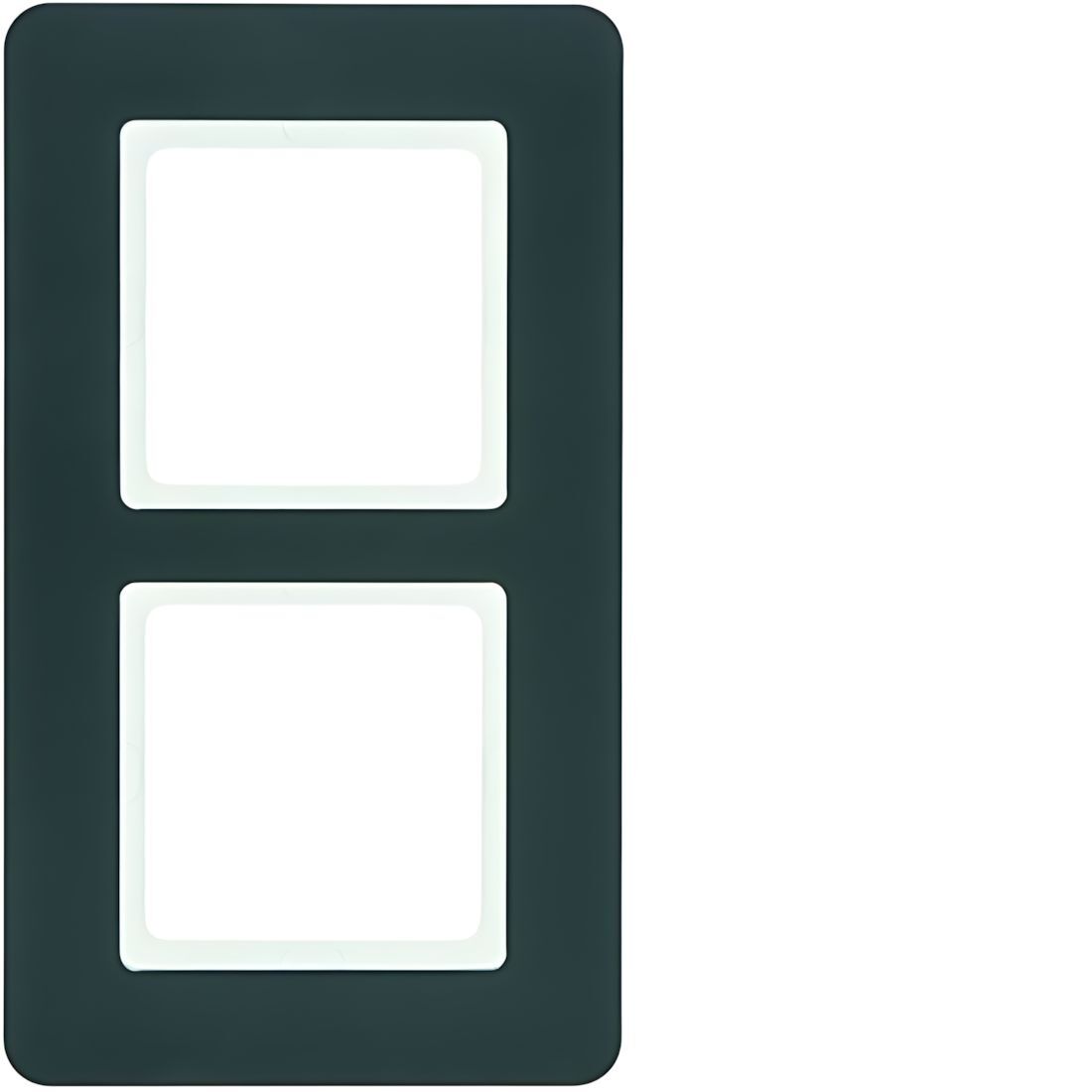 Berker 2fach Rahmen 10126186