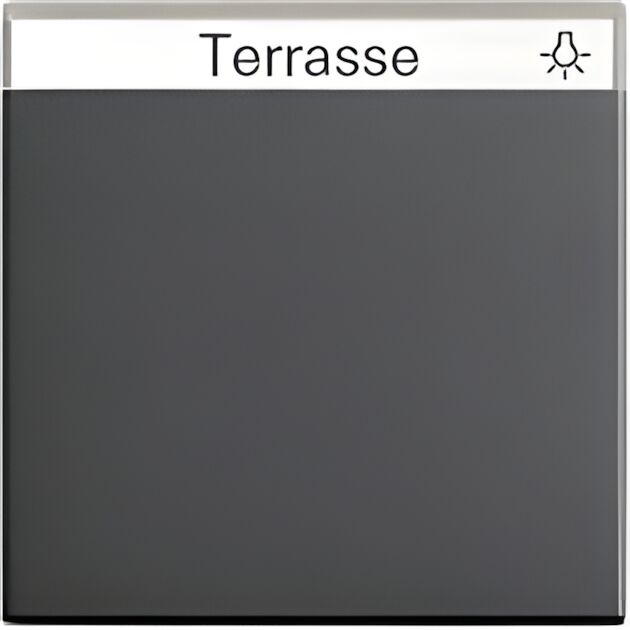 Gira Wippe Beschriftungsfeld  029928