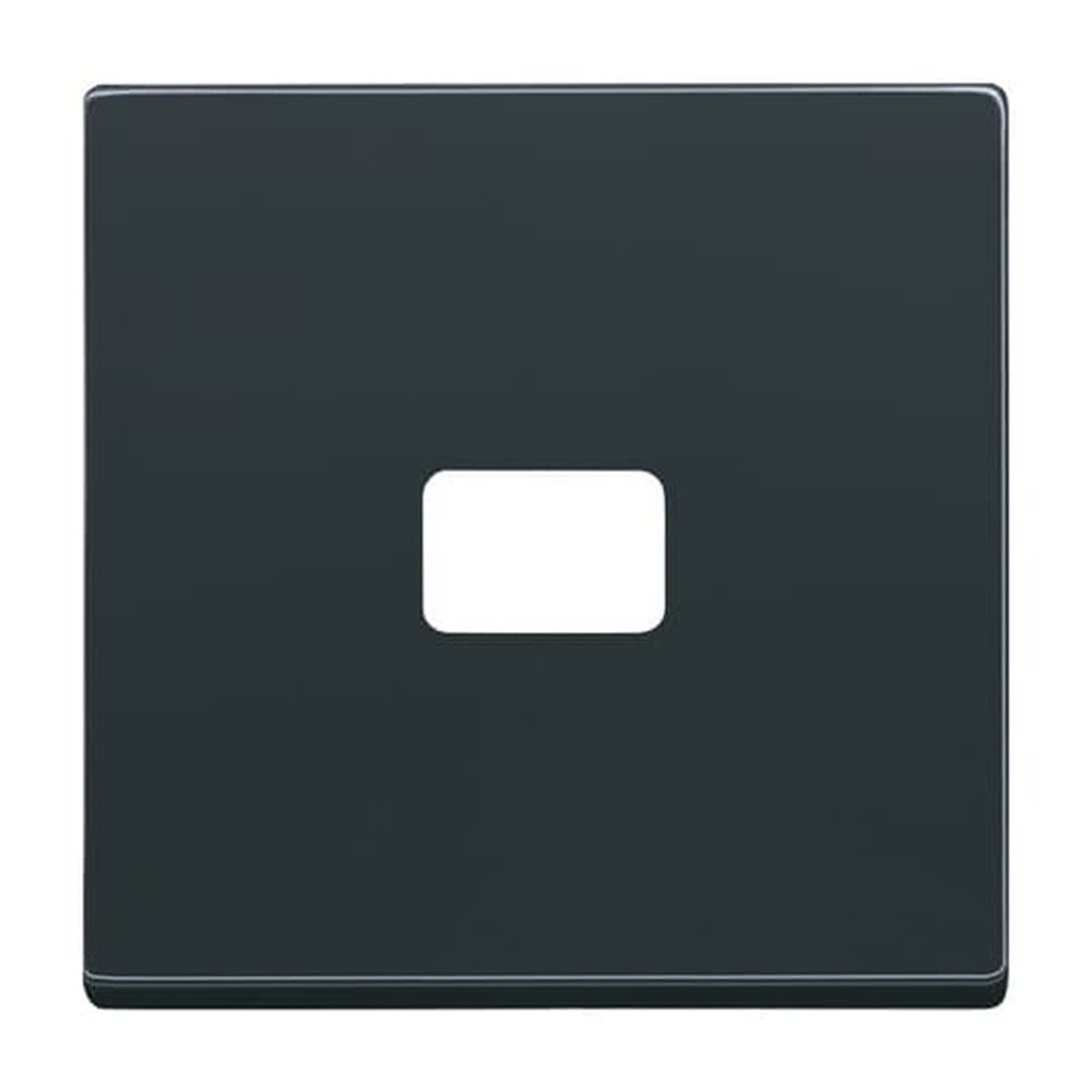 Busch-Jaeger Wippe 1720-81 Nr. 2CKA001731A1914